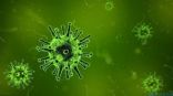 الإمارات تسجل 12 إصابة جديدة بفيروس كورونا