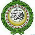 الجامعة العربية تؤكد اهمية تعزيز منظومة حقوق الانسان على المستويين الوطني والاقليمي