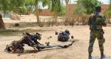 مقتل 8 بينهم سياح فرنسيون في النيجر