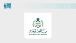 وزارة الخارجية: المملكة تدين العدوان الإسرائيلي على أراضي الجمهورية اللبنانية