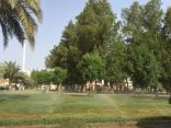 مشاريع جديدة لصيانة وتهيئة الحدائق العامة بمكة