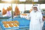بمشاركة 112 مزارع بدء مهرجان التمور الثاني بمحافظة العقيق
