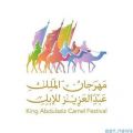 نادي الإبل يعلن عن شروط مسابقة الهجيج بمهرجان الملك عبد العزيز للإبل