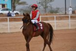 *ميدان فروسية العقيق بالباحة ينظّم الخميس المقبل الحفل الرابع لموسم سباقات الخيل للعام الحالي