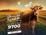مؤسسة الجود تطلق صك الأضحية وتستهدف أكبر عدد من الأسر الأكثر إستحقاقًا في الصعيد
