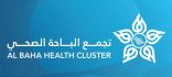 ” ذيل الفرس ” متلازمة نادرة تُصيب سيدة بالباحة ومستشفى الأمير مشاري ينجح في العلاج 