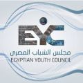 مجلس الشباب المصري: مناهضة خطاب الكراهية ضرورة وطنية لحماية السلم المجتمعي