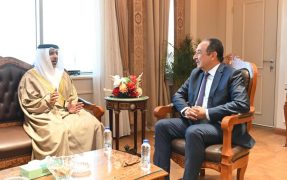 سفير الإمارات يبحث مع وزير قطاع الأعمال المصري تعزيز التعاون الاقتصادي