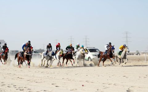 ستة جياد تمثل ميدان فروسية الدمام إلى بطولة بطل أبطال الميادين بالرياض