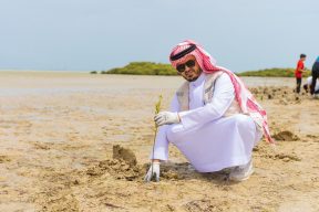 انطلاق مبادرة “أرض تتنفس” لزراعة 10 آلاف شتلة مانجروف في دارين وتاروت