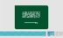 المملكة تؤكّد أن السلام يتطلّب وقف إطلاق النار ومنع التهجير وإقامة دولة فلسطينية على حدود 1967