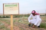 خيوط حمراء من العلا … عافت بن سنيان يقود التحول نحو الزراعة عالية القيمة