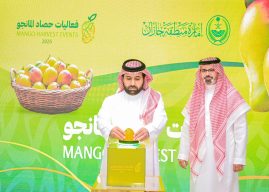 *أمير منطقة جازان يُطلق فعاليات حصاد المانجو 2026 بواجهة صبيا دعمًا للمزارعين وتعزيزًا للاقتصاد الزراعي*