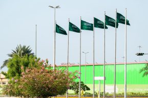 (50) ألف علم سعودي تزيّن طرق وميادين منطقة جازان احتفاءً باليوم الوطني السعودي