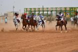 *محافظة العقيق تشهد الحفل الرابع لموسم سباقات الخيل للعام الحالي