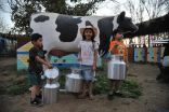 الصغار تستهويهم تجربة حلب الأبقار واللعب مع الكلاب في جدة جنغل