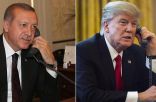 إردوغان وترامب يبحثان إنهاء الأزمة في إدلب