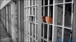 محكمة مصرية تقضي بالسجن سنتين مع الشغل لمحامٍ سرق شقة مذيعة سعودية