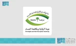 هيئة الرقابة ومكافحة الفساد تباشر عددًا من القضايا الجنائية