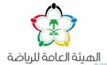 الهيئة العامة للرياضة تسقط إدارة النادي الأهلي