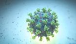 #الولايات_المتحدة تسجل أعلى حصيلة يومية من الإصابات بكورونا