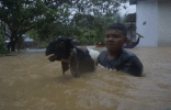 مصرع 19 جراء إعصار ضرب جزيرة جاوة بإندونيسيا