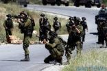 إصابة خمسة فلسطينيين برصاص قوات الاحتلال واعتقال خمسة آخرين في بيت فجار