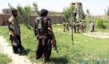 افغانستان: مقتل 16 من طالبان و4 من حرس الحدود باشتباكات جنوبي البلاد