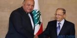 الرئيس اللبناني يلتقي وزير الخارجية المصري